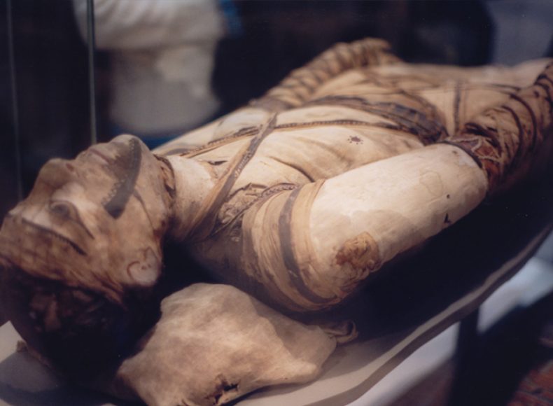 03.-Mummification-Museum-Luxor2